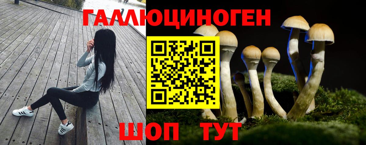 Славянск-на-Кубани  Псилоцибиновые грибы прущие грибы  Псилоцибиновые грибы прущие грибы  Вход с VPN 